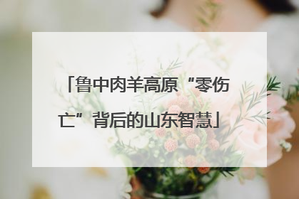 鲁中肉羊高原“零伤亡”背后的山东智慧