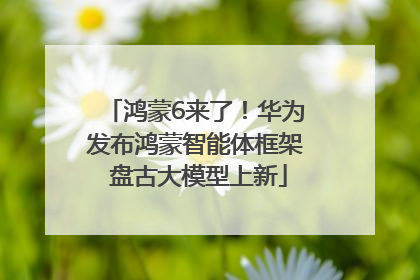 鸿蒙6来了！华为发布鸿蒙智能体框架 盘古大模型上新