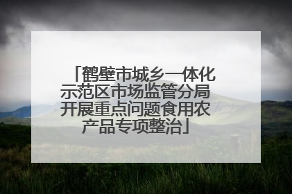鹤壁市城乡一体化示范区市场监管分局开展重点问题食用农产品专项整治