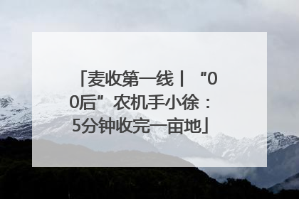 麦收第一线丨“00后”农机手小徐：5分钟收完一亩地
