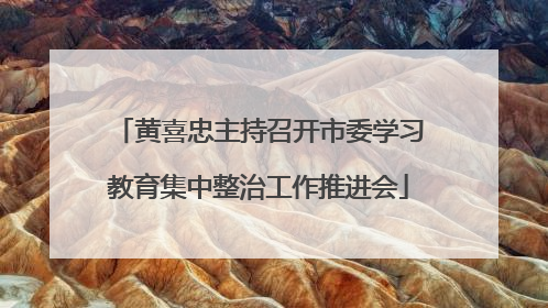 黄喜忠主持召开市委学习教育集中整治工作推进会