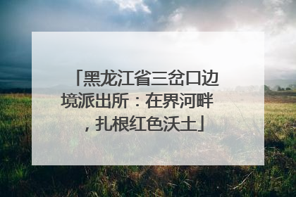 黑龙江省三岔口边境派出所：在界河畔，扎根红色沃土