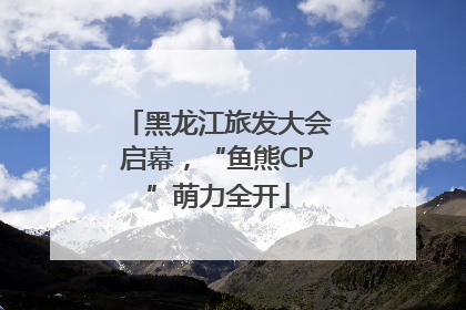 黑龙江旅发大会启幕，“鱼熊CP”萌力全开