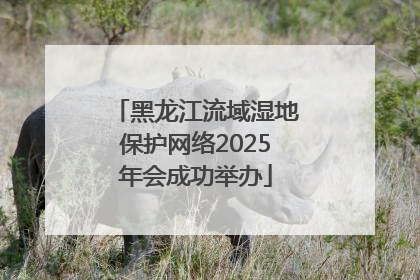 黑龙江流域湿地保护网络2025年会成功举办