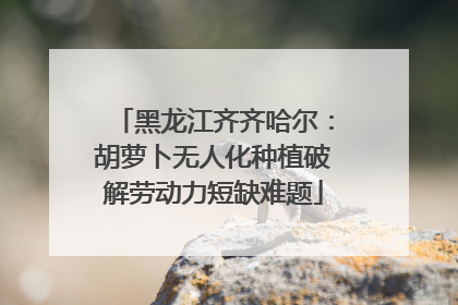 黑龙江齐齐哈尔：胡萝卜无人化种植破解劳动力短缺难题
