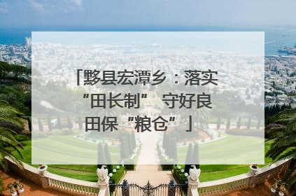 黟县宏潭乡：落实“田长制” 守好良田保“粮仓”