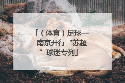 （体育）足球——南京开行“苏超”球迷专列