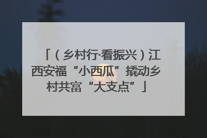 （乡村行·看振兴）江西安福“小西瓜”撬动乡村共富“大支点”