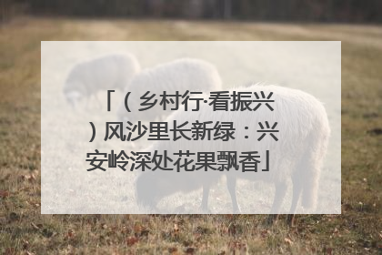 （乡村行·看振兴）风沙里长新绿：兴安岭深处花果飘香