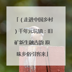 （走进中国乡村）千年元坑镇：旧矿新生融古韵 原味乡俗引客来