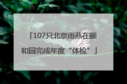 107只北京雨燕在颐和园完成年度“体检”