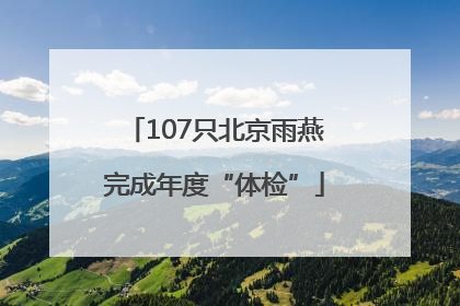 107只北京雨燕完成年度“体检”