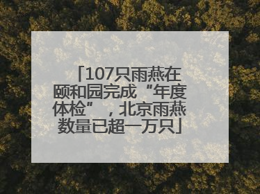 107只雨燕在颐和园完成“年度体检”，北京雨燕数量已超一万只
