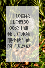 10亩花田治愈3000公里孤独，广水独眼小伙与他的“无尽夏”