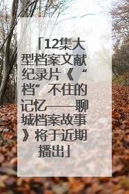 12集大型档案文献纪录片《“档”不住的记忆——聊城档案故事》将于近期播出