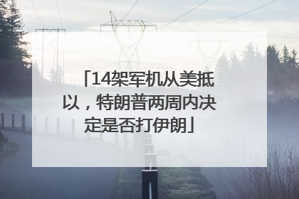 14架军机从美抵以，特朗普两周内决定是否打伊朗