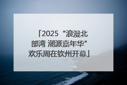 2025“浪漫北部湾 潮派嘉年华”欢乐周在钦州开幕