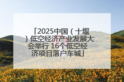 2025中国（十堰）低空经济产业发展大会举行 16个低空经济项目落户车城
