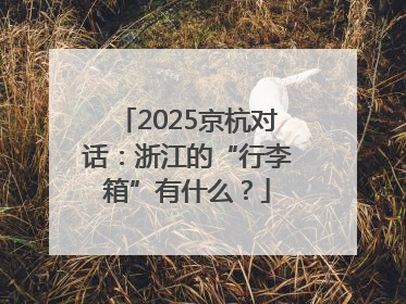 2025京杭对话：浙江的“行李箱”有什么？