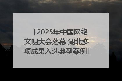 2025年中国网络文明大会落幕 湖北多项成果入选典型案例