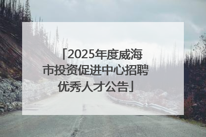 2025年度威海市投资促进中心招聘优秀人才公告