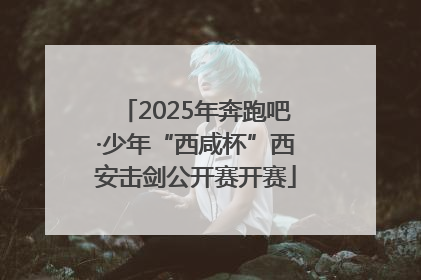 2025年奔跑吧·少年“西咸杯”西安击剑公开赛开赛