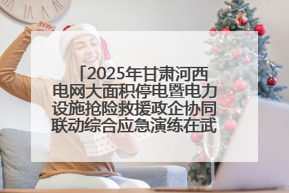 2025年甘肃河西电网大面积停电暨电力设施抢险救援政企协同联动综合应急演练在武威成功举行