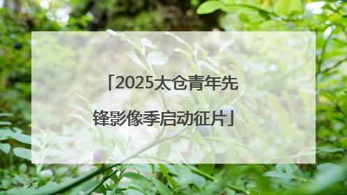 2025太仓青年先锋影像季启动征片