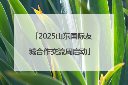 2025山东国际友城合作交流周启动