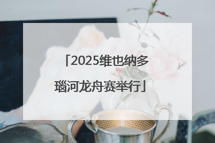 2025维也纳多瑙河龙舟赛举行