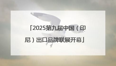 2025第九届中国（印尼）出口品牌联展开幕