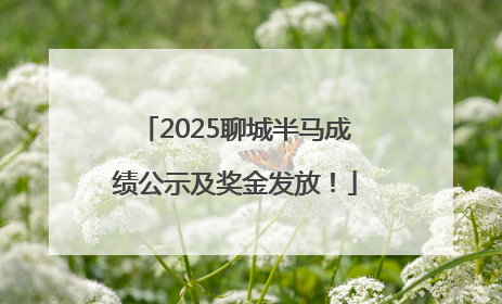 2025聊城半马成绩公示及奖金发放！