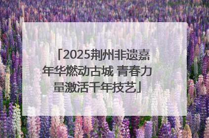 2025荆州非遗嘉年华燃动古城 青春力量激活千年技艺