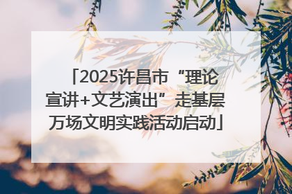 2025许昌市“理论宣讲+文艺演出”走基层万场文明实践活动启动