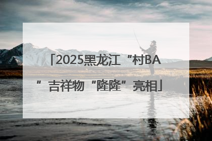 2025黑龙江“村BA”吉祥物“隆隆”亮相
