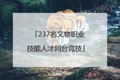 237名文物职业技能人才同台竞技