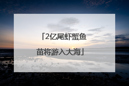 2亿尾虾蟹鱼苗将游入大海