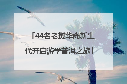 44名老挝华裔新生代开启游学普洱之旅