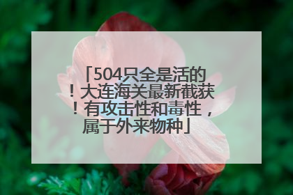 504只全是活的！大连海关最新截获！有攻击性和毒性，属于外来物种