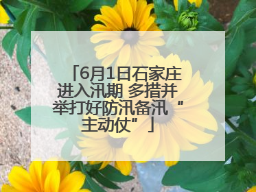 6月1日石家庄进入汛期 多措并举打好防汛备汛“主动仗”