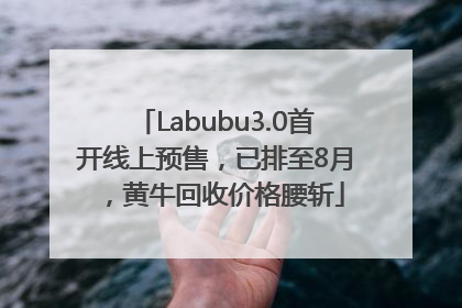 Labubu3.0首开线上预售，已排至8月，黄牛回收价格腰斩