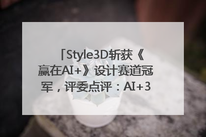 Style3D斩获《赢在AI+》设计赛道冠军，评委点评：AI+3D技术世界第一